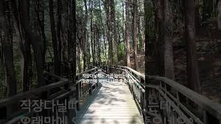 #공방 #산책길 #북한산둘레길 #자락길 #쉬는시간 #산책 #푸른하늘 #날씨맑음 #공방사장이야기 #성북구