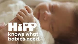 HiPP Organic Baby Formula  