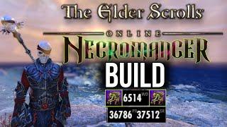 Elder Scrolls Online Necromancer Build | Outnumbered PvP (Nycecro)