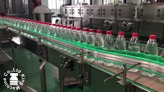 6000BPH Complete Bottled Water Production Line From A to Z