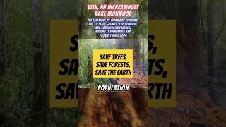 Chainsaw vs Rare Ulin ironwood Tree, Save Trees, Save Forest, Save Earth