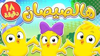 أغنية يا صيصاني ومجموعة اغاني الاطفال | قناة مرح كي جي - Marah KG