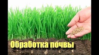Правильная обработка почвы. Как повысить плодородие почвы.