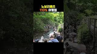 노보리베츠 여행법 1분요약