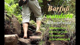 Barfußwandern Schwarzwald: Mummelsee - Dreifürstenstein - Hornisgrinde - Schurmsee - Schönmünzach