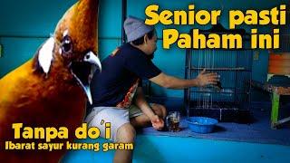 AGAR MURAI BATU PUNYA TEMBAKAN PANJANG-PANJANG