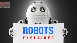 Are Humanoid Robots a Good Idea? | Candid.Technology