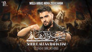 Nohay 2024 | Sher e Ali Aa Raha Hai | Tejani Brothers | Mola Abbas Noha 2024 | Muharram Nohay 2024