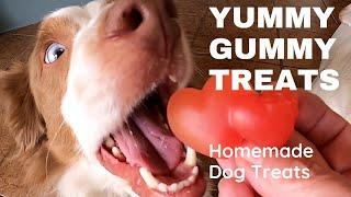 Watermelon Gummies - Homemade Dog Treat Recipe