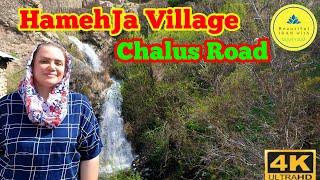 HamehJa Village,Chalus Road - 4k