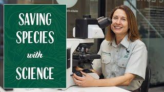 How Taronga Zoo's Scientists are Saving Wildlife - *Detecting and Diagnosing Disease in Animals*