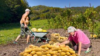 Hard life in a mountain village of the Carpathians. The family is engaged in agriculture