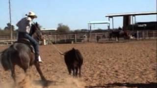 Horse Training and Team Roping in Arizona 1-12-14