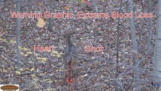 Extremely graphic heart shot on a Non-typical 10 point Whitetail buck.  Extreme blood loss!!