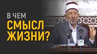 №5_1 Аллах гарантировал тебе это | В чем смысл жизни? | Шейх Рамадан аль-Буты