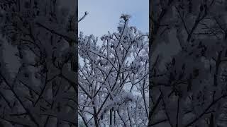 ПУТЬ К ИСЦЕЛЕНИЮ