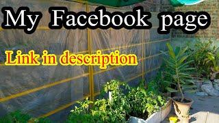 My Facebook Page | Facebook.Com/Gardening.With.Izhar | Sab Members Is Ko Follow Krain