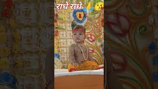 श्री  राधा राधा  #video #shortfeed #shorts#trending #song  #radheradhe #ytshorts #baktisong #short