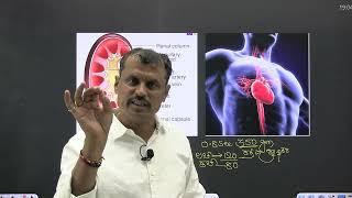 BIOLOGY FOR KAS,PSI,CAR,DAR, FDA,SDA,TET,CET#Jitti_Sir 9731046313