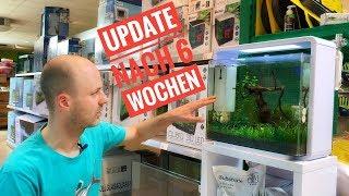 Update - Das Nano Aquarium nach der Einfahrphase - Einrichtung Teil 7