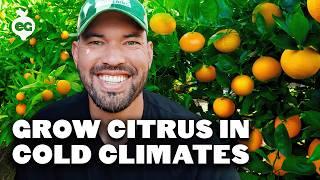 9 Citrus Trees That THRIVE in Cold Climates️