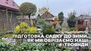 Підготовка саду до зими. Як ми обрізаємо наші троянди