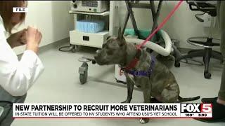 New partnership to recruit more veterinarians