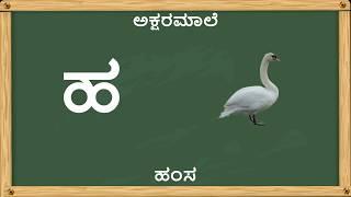 Learn Kannada Alphabets | Learn Alphabets | Aksharamaala | Aksharamaala kannada Alphabets for kids