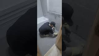 꼼꼼한 타일쟁이
