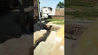 my vilog video ️ amezing short video on YouTube shuaib vlogs