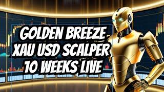 Gold Scalper Auto Trader -XAU USD Scalping Forex Expert Advisor-Verified MyFxbook Live Trading