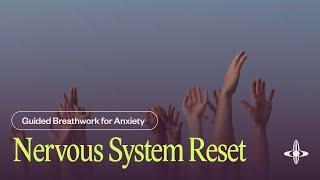Nervous System Reset | Guided Breathwork (22 minutes)