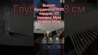 РР4. Где и на что клюет ТРОФЕЙ  Уклейка на реке Вьюнок!?#трофей#рр4