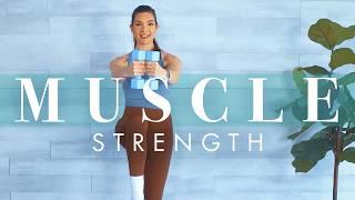 Weight Training Workout to Build Muscle for Beginners & Seniors // Strength w/ Dumbbells