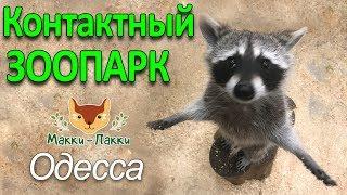 Контактный ЗООПАРК Одесса видео-тур