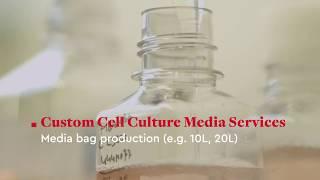 PromoCell Customized Primary Cell Culture Solutions