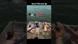 Shark ने खेल बिगाड़ दिया | fact video #shorts #facts