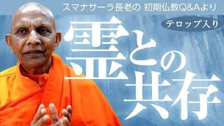 霊との共存――「悪魔祓い」を乗り越える仏教の発想｜スマナサーラ長老の切り抜き法話（初期仏教Q&A）#心霊現象 #スピリチュアル #jtba ※テロップ入り