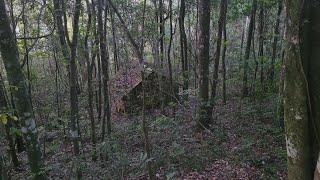 TIVEMOS PROBLEMAS PERTO DE UMA CABANA ABANDONADA NA FLORESTA!!! 