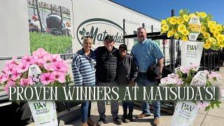 Proven Winners Annuals, Perennials & Shrubs Now Growing at Matsuda's!