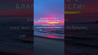 АФФИРМАЦИИ БЛАГОДАРНОСТИ | МОЩНЫЙ НАСТРОЙ НА УСПЕХ, БОГАТСТВО И ГАРМОНИЮ #позитивноемышление