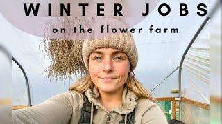 Winter jobs on the flower farm | Planting Ranunculus, Willow and Mint cuttings