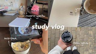 Study vlog | учебный влог | один день из моей жизни