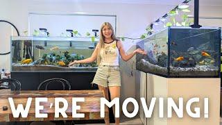 EVERYTHING IS CHANGING - I Need to Move ALL my Tanks!