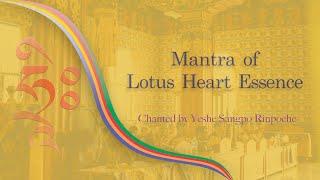 海生蓮師心咒/ Mantra of Lotus Heart Essence | Chanted by Yeshe Sangpo Rinpoche |  SAMYEPA