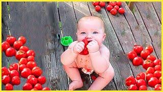 TOP Trending Baby Videos (30 Minutes Funny Baby Video) || 5-Minute Fails