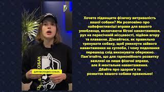 ВПРАВИ ДЛЯ ПІДВИЩЕННЯ ФІЗИЧНОЇ ВИТРИВАЛОСТІ СОБАК