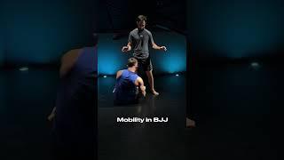 For mobility in BJJ