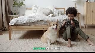 Never Work With Animals? No! Your Pet Videos Are Super Popular