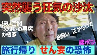 高速道路で交番に行きたがる認知症おばあちゃん／車中で突然もう一人のおばあちゃんが出現／日本一〇〇山が狂ったおばあちゃんを救う／岡崎城出世ベンチで家康公に出世を願う90歳おばあちゃん